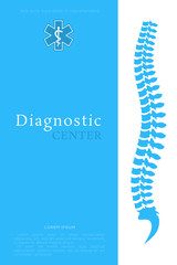 Vertebral Column. All Vertebrae Cervical Thoracic Lumbar Sacral and Coccygeal. Human Body Anatomy