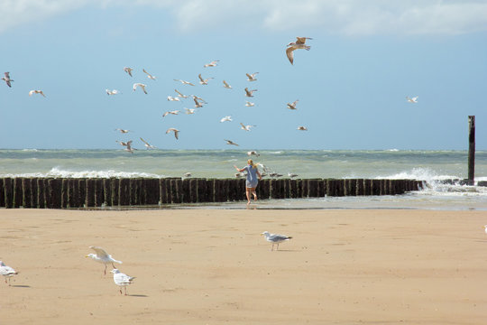 Meeuwen vliegen weg voor meisje op strand Zeeland
