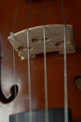 the classic violin bowed instrument
