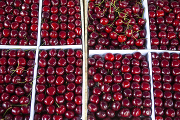 Fresh cherry in the window. Sweet cherry picked up in straight rows in boxes.