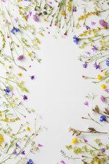 summer flowers on white paper background