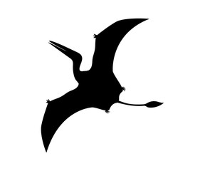 Silhouette Pterosaur dinosaur jurassic prehistoric animal © KozyrevaElena