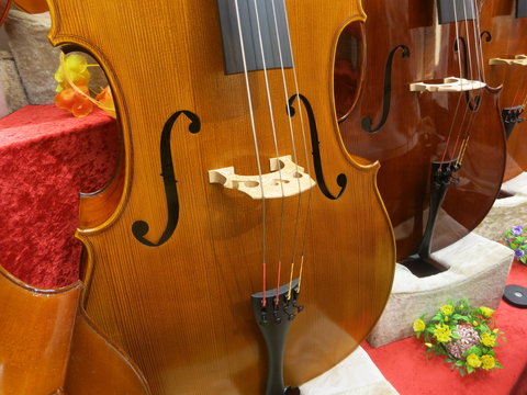 チェロ（f字孔、駒、テールピース、弦）