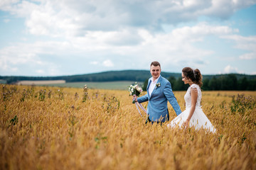 The bride and groom are walking in the wheat field