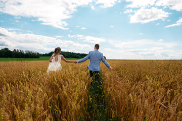 The bride and groom are walking in the wheat field. View from the back