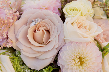 Groom band and bride ring in a pink rose 