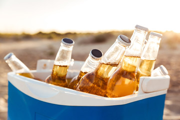 Fototapeta na wymiar Close up of beer bottles cooling in an icebox