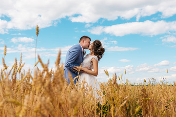 The kiss of the bride and groom in the middle of a golden wheat field