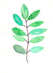 watercolor green leaves