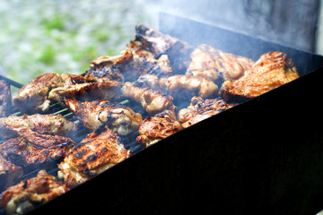 meat; grill; barbecue; grilled; food; fried; fire; cooking; delicious; grate; chicken; flame; roasted; picnic; heat; meal; pork; preparation; smoke; bbq; hot; charcoal; outdoors; dinner; red