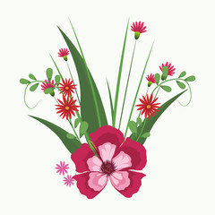 Beautiful pink flowers with leaves vector illustration graphic design