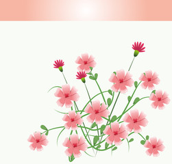 Obraz na płótnie Canvas Beautiful pink flowers with leaves vector illustration graphic design