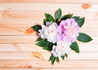 Peony flowers on a wooden background