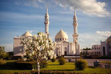 Fototapeta na wymiar White mosque and blooming Apple tree