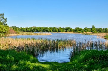 Beautiful rural landscape. Spring day over a beautiful pond.