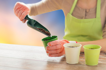 gardening, planting and people concept - close up of woman hands with trowel adding soil to flower pot over sky background