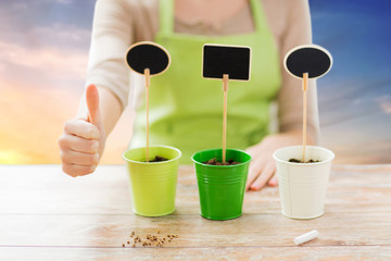 gardening, planting and people concept - close up of woman or female gardener with soil in pots and nameplates showing thumbs up over sky background