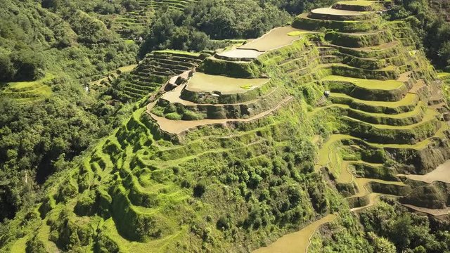 Aerial drone flying flying over spectacular rice terraces on the side of a mountain (Banaue, Philippines)