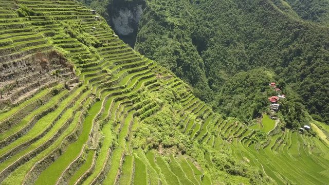 Aerial drone view on the famous towering rice terraces of Batad revealing the mountain and deep valley below