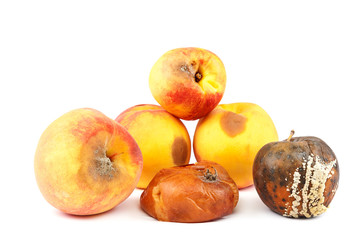 Fototapeta na wymiar Fruits of an apple and peach with rot.