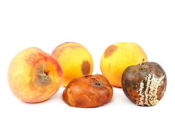 Fruits of an apple and peach with rot.