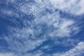 Clear blue sky with plain white cloud