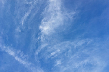 Clear blue sky with plain white cloud