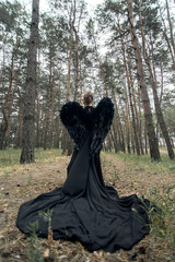 Fototapeta na wymiar Girl with black angel wings in forest