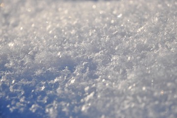 Fototapeta premium Snow on the ground