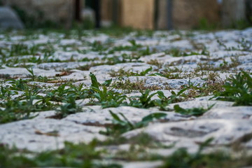 Grass and stone. Cobbled street in Otranto. Small towns of southern Italy.