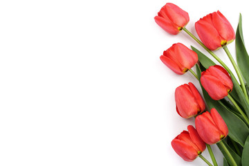 Beautiful red tulips on white background with copy space for text. Top view, flat lay