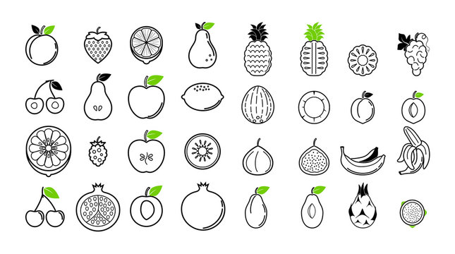 Summer tropical fruit icons for background ads and banners. Line fruit mix isolated on white background vector illustration.