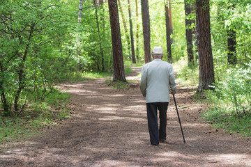 Senior walking alone at park, back view of old man