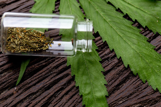 Background of Cannabis (Drugs), Analysis of Cannabis in laboratory.