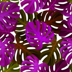 Tropical seamless pattern with monstera leaves. Fashionable summer background. © LOKKA