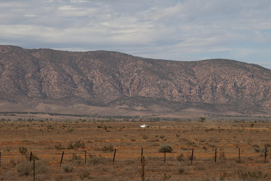 Hawker South Australia, Farm Ute Driving Across Paddock With Flinders Ranges In Background