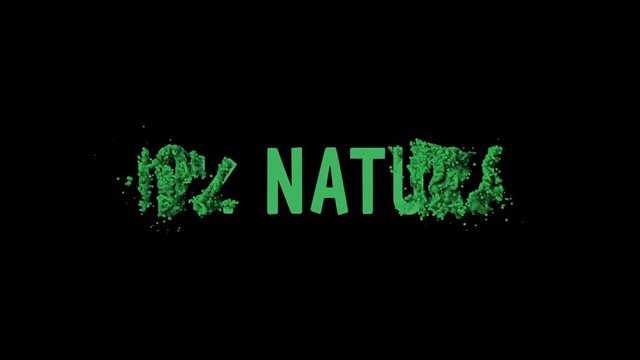 100 percent natural typographic revealer motion poster, banner text. Available in 4K FullHD video render footage