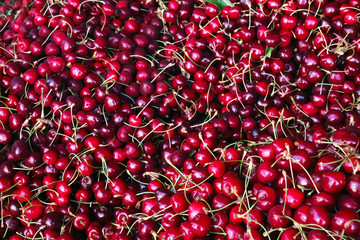 Close up of pile of ripe cherries with stalks and leaves. Large collection of fresh red cherries. Ripe cherries background.