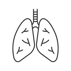 Human lungs linear icon