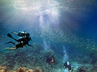 Scuba diving on coral reef underwater with rays light background.