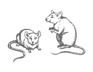 Mouse. Vector drawing