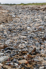 Steine an der Ostseeküste vor Rügen