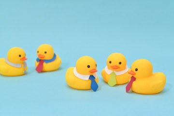 Office meeting concept, rubber ducks are discussing.