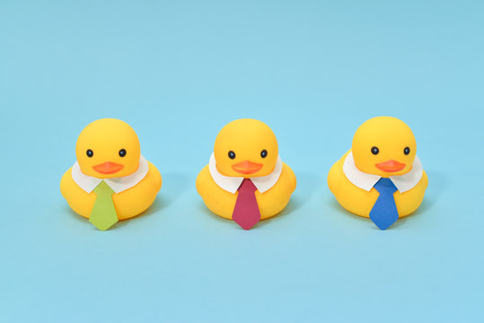 Office life concept, rubber ducks are waring neckties, ready to work