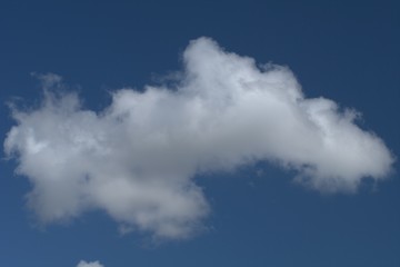 Fototapeta na wymiar cloud,white,sky,blue,weather,air,fluffy