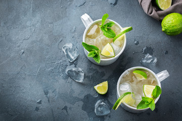 Moscow mule cocktail with vodka, ginger beer, lime and mint