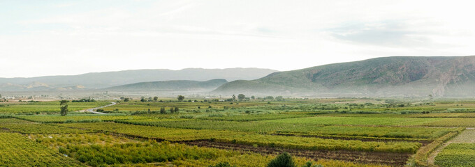 Calitzdorp valley