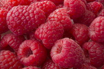 raspberry on white background