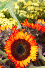 Fresh Cut Flowers at an Outdoor Market