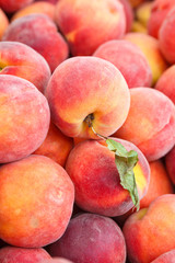 Fresh Picked Peaches